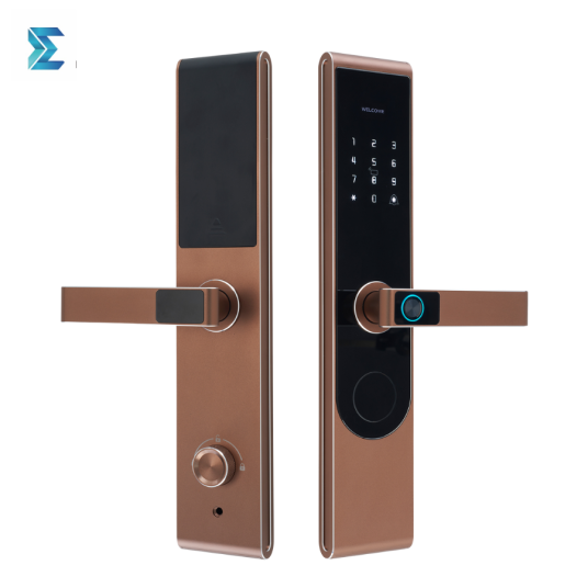 Khóa Vân Tay Một Tay Cầm JW P20
